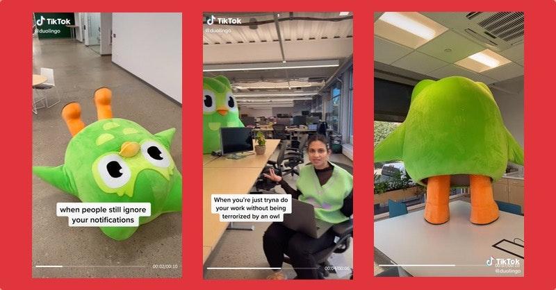 Duolingo-TikTok