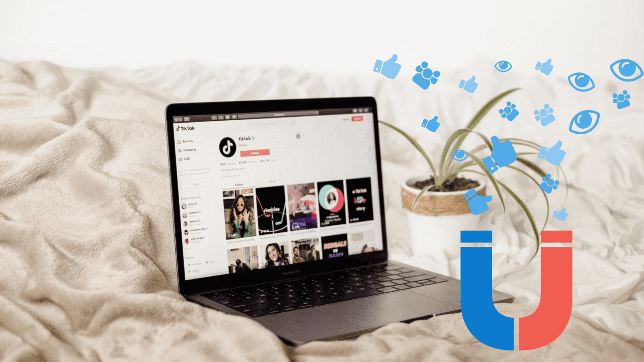 Followerest Tiktok