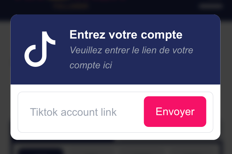 Formulaire pour envoyer le lien de votre vidéo TikTok