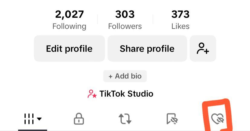 vidéos enregistrées Tik Tok 