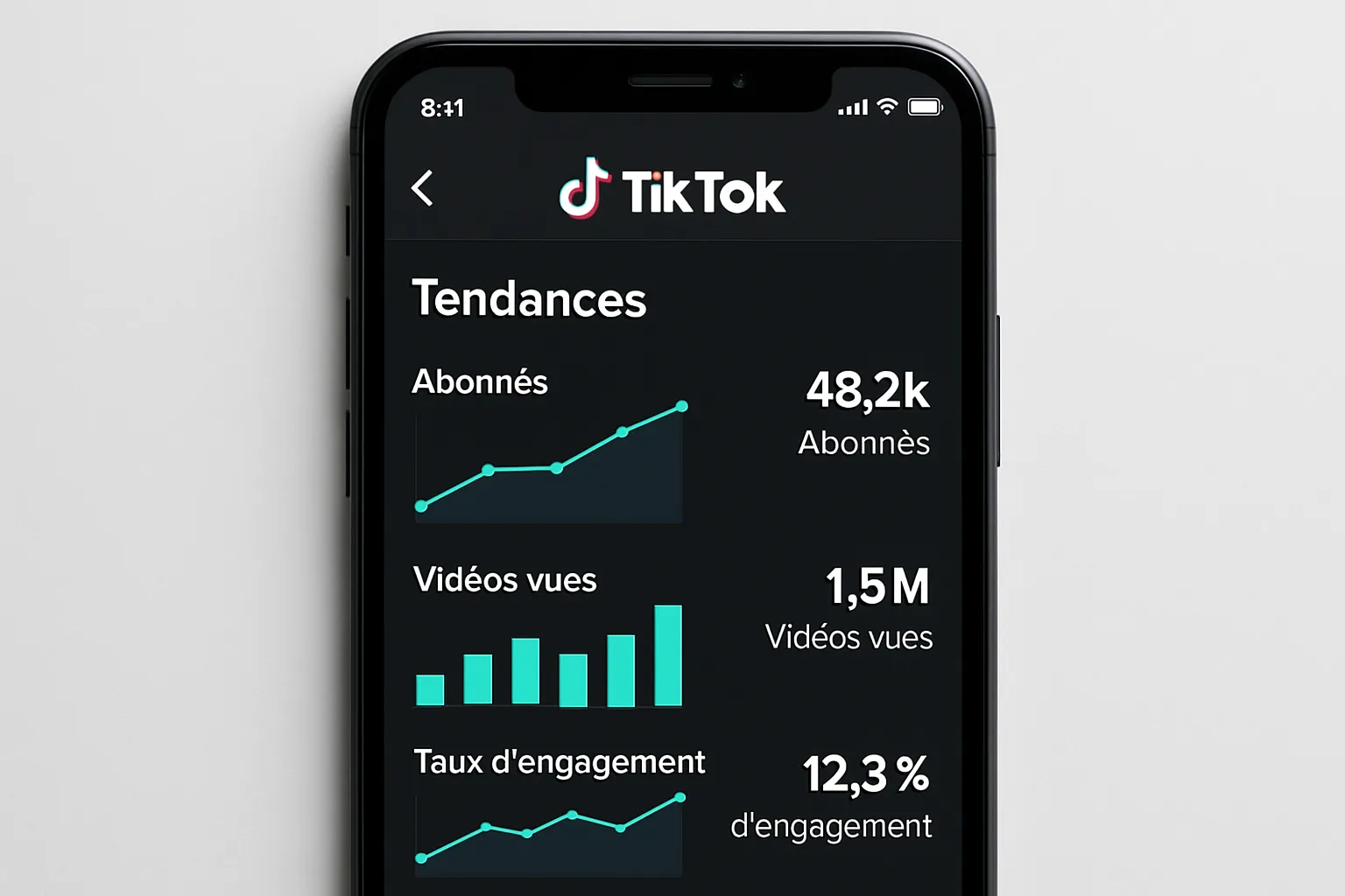 Maîtriser TikTok avant l'achat