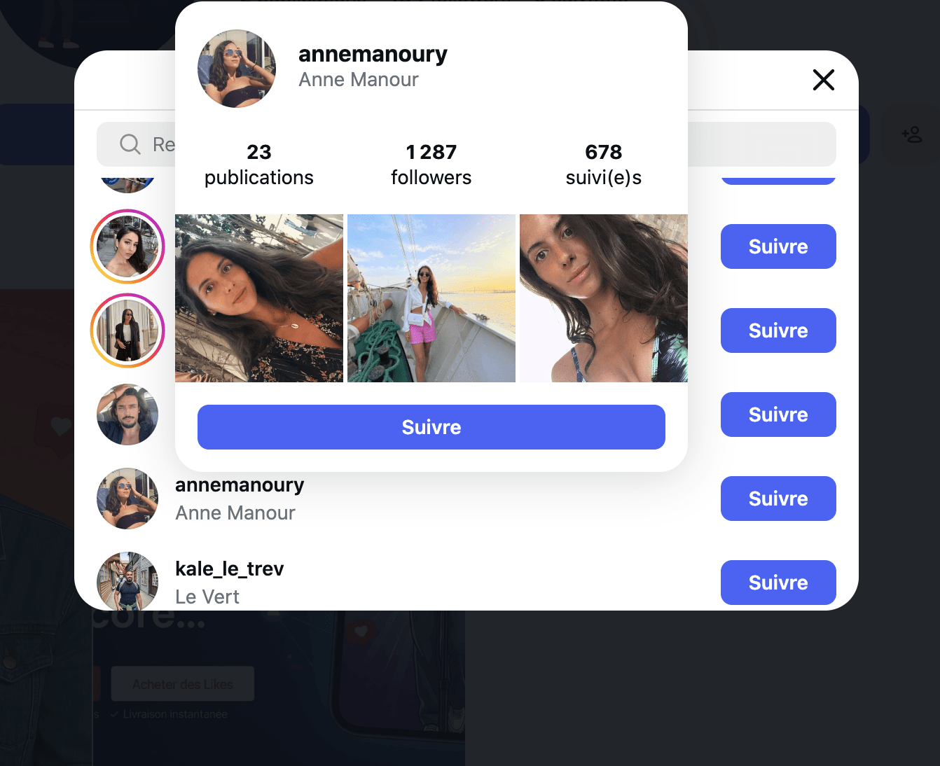 Exemple profil abonné Instagram français avec ses propres abonnés - AnotherFollower