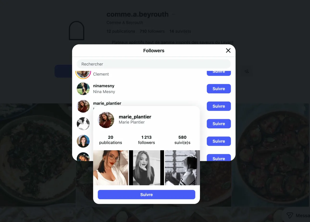 Exemple de vrai abonné Instagram avec publications et bio personnalisée